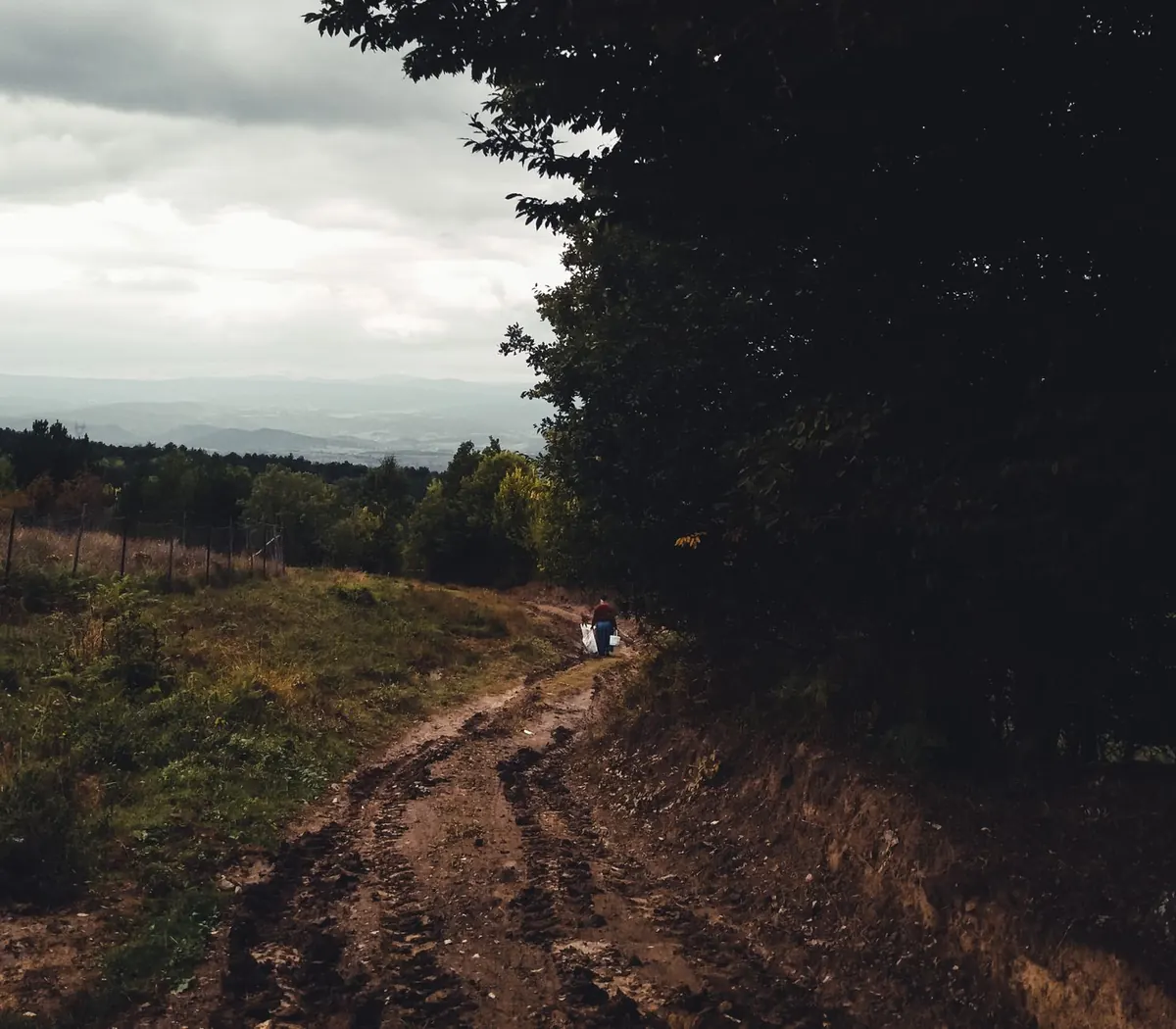How to Walk Muddy Trails Without Ruining the Path