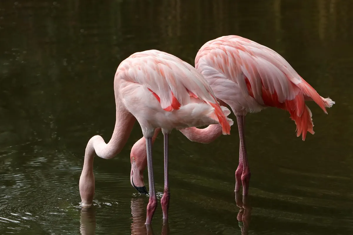 Planning Your First Wetland Walk: Footwear, Tide Times and Hides